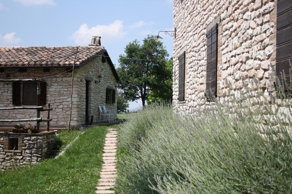 Agriturismo Valdifiori Sassoferrato ภายนอก รูปภาพ